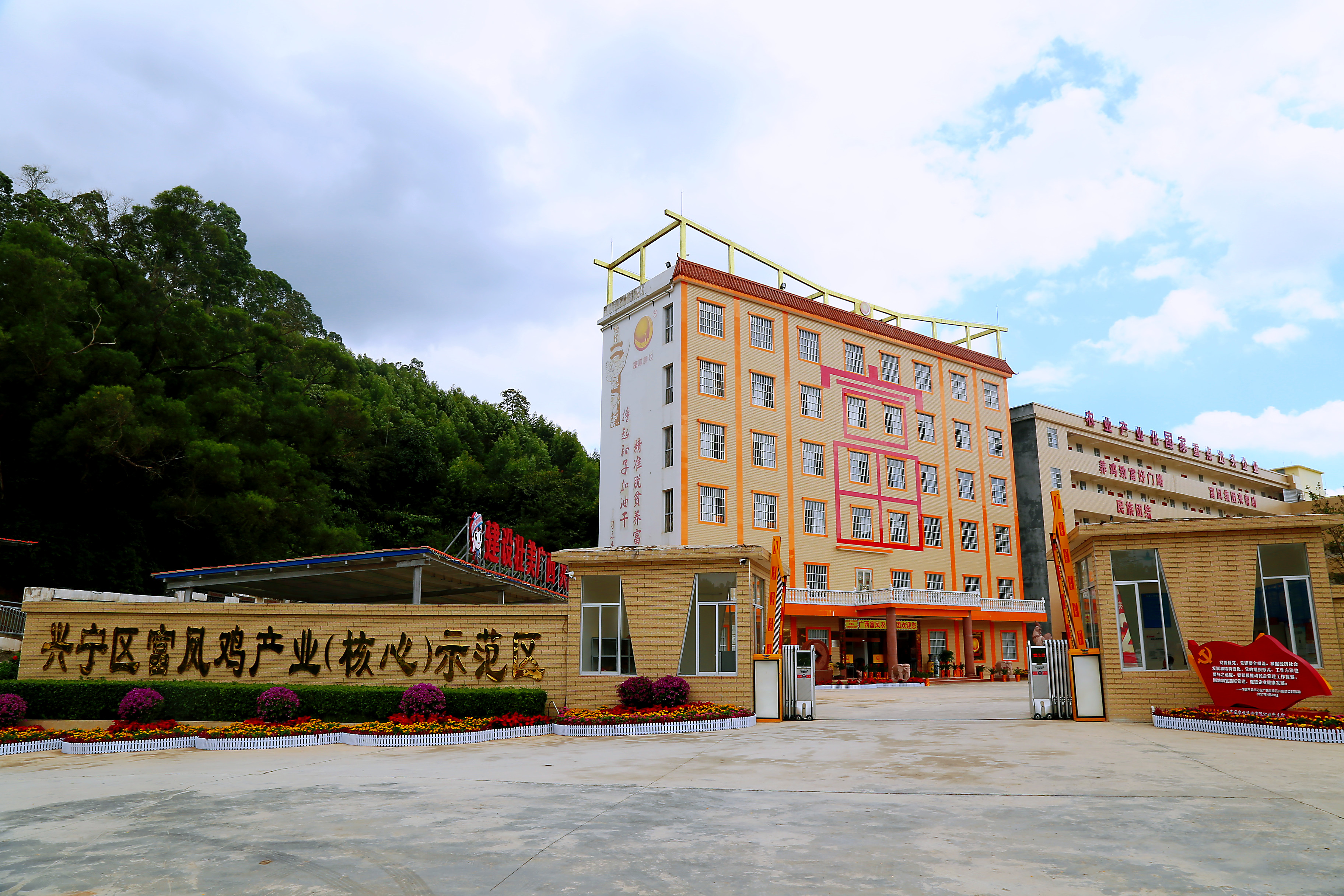 草莓视频下载链接集团