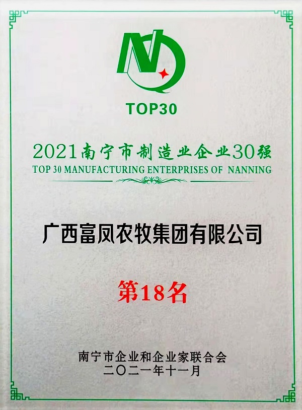 草莓视频下载链接集团