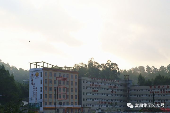 广西草莓视频下载链接农牧集团