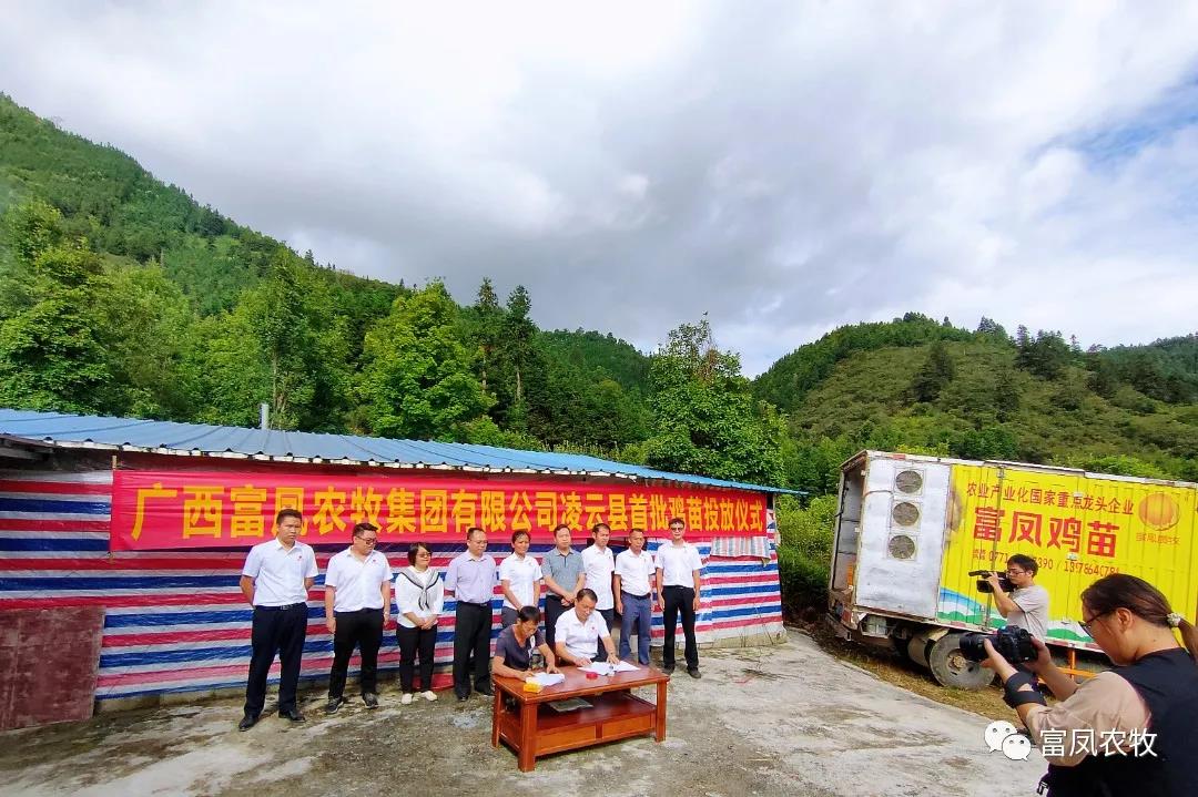 广西草莓视频下载链接农牧集团