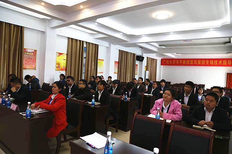 广西草莓视频下载链接农牧集团