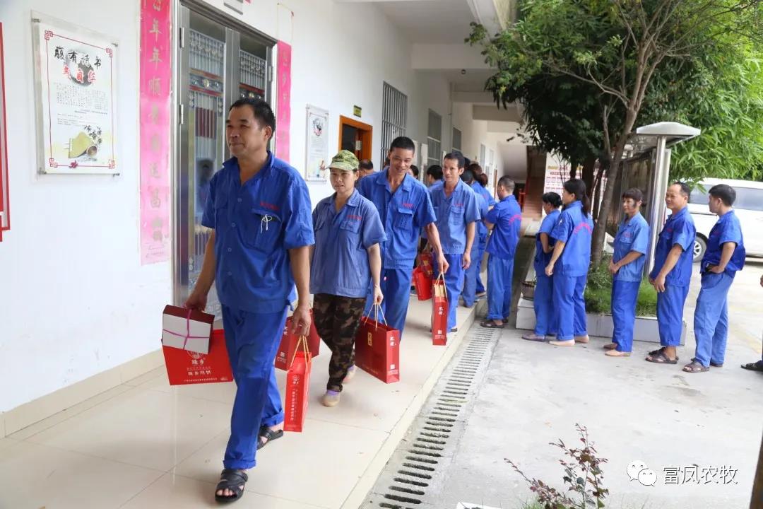 广西草莓视频下载链接农牧集团