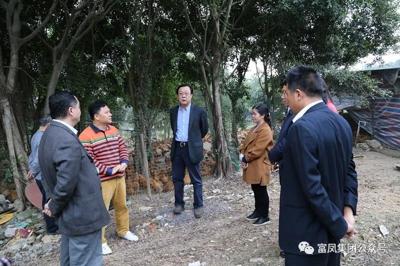 广西草莓视频下载链接农牧集团