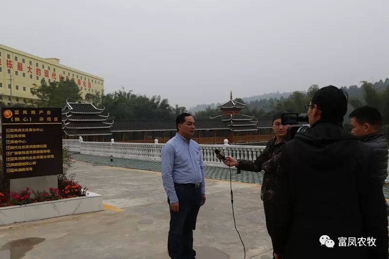 广西草莓视频下载链接农牧集团