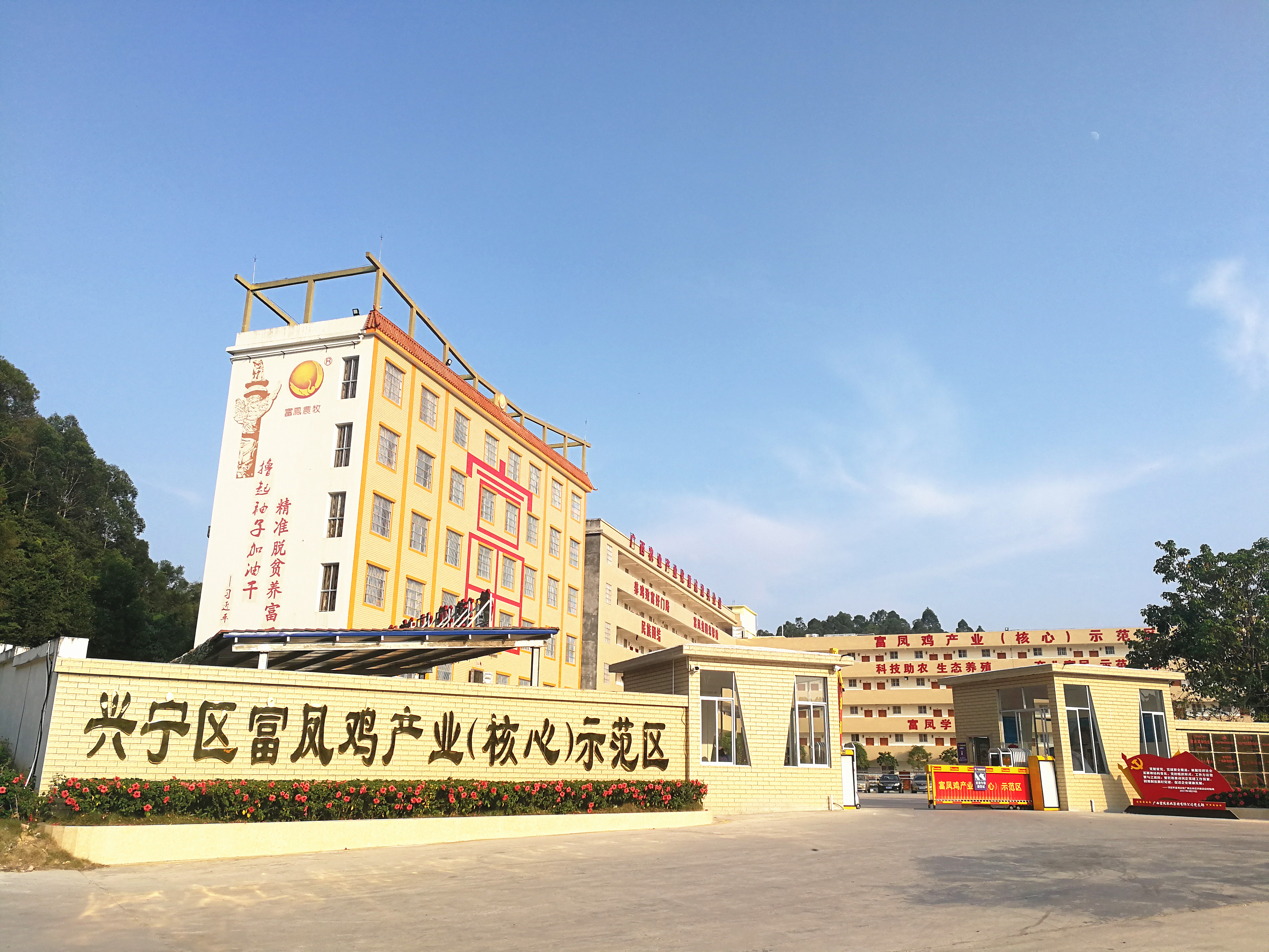 草莓视频下载链接