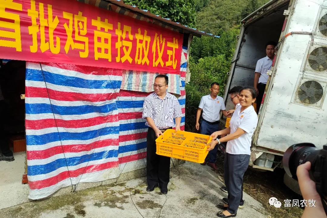 广西草莓视频下载链接农牧集团