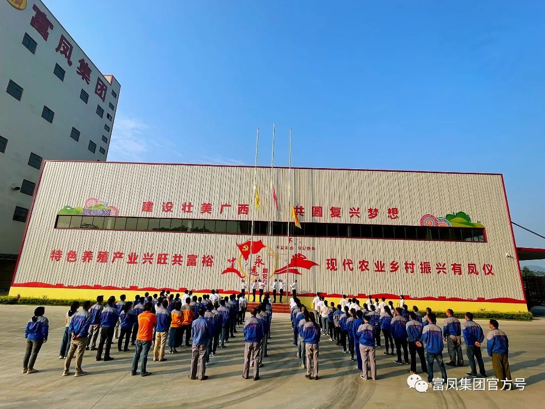草莓视频下载链接集团