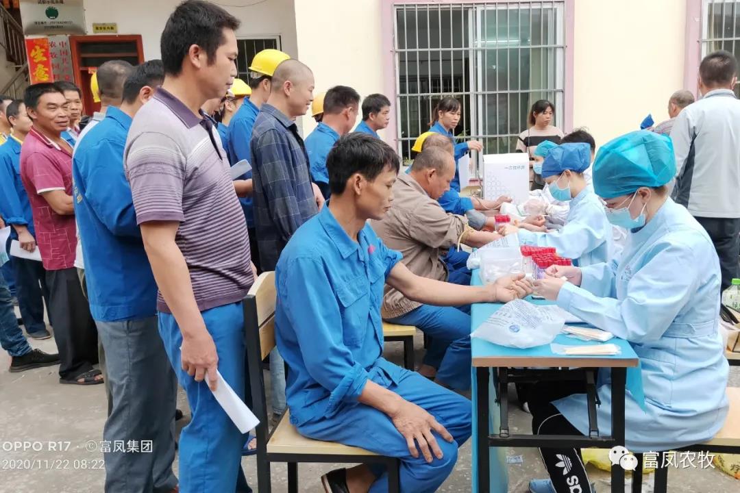 广西草莓视频下载链接农牧集团