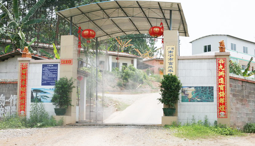 广西草莓视频下载链接鸡育种有限公司