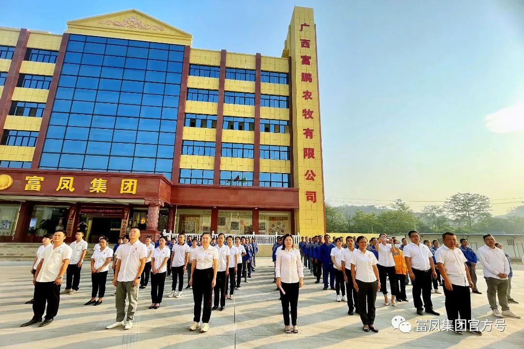 草莓视频下载链接集团