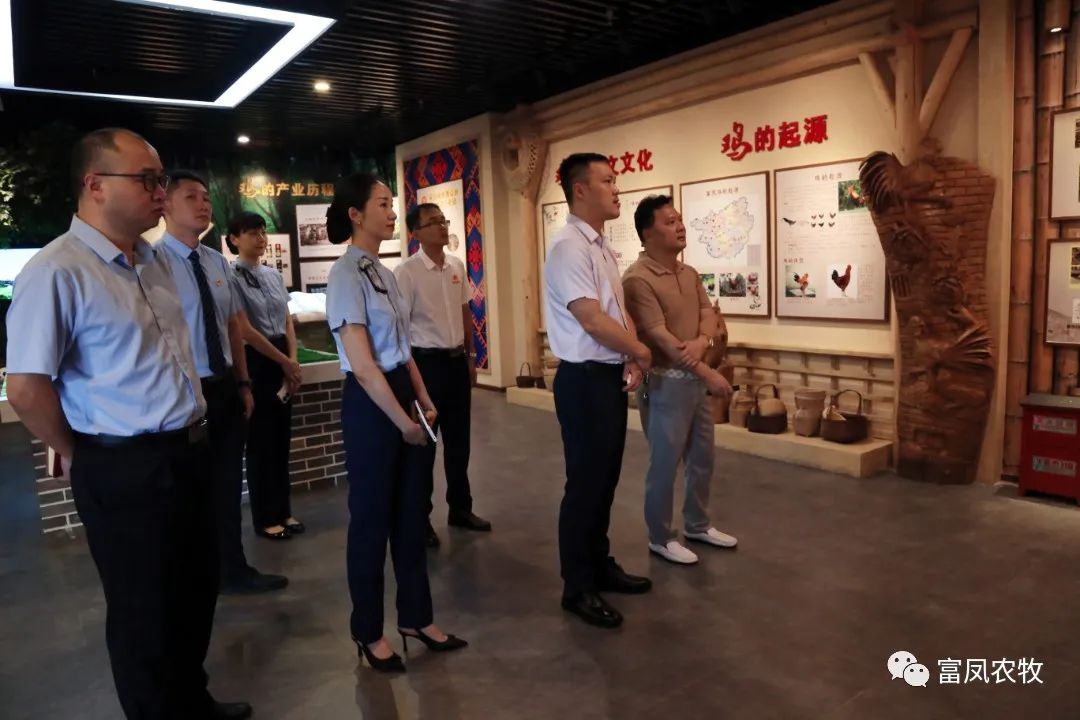 广西草莓视频下载链接农牧集团