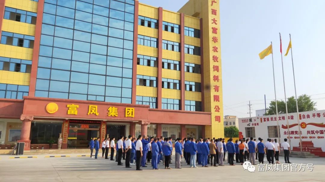草莓视频下载链接集团