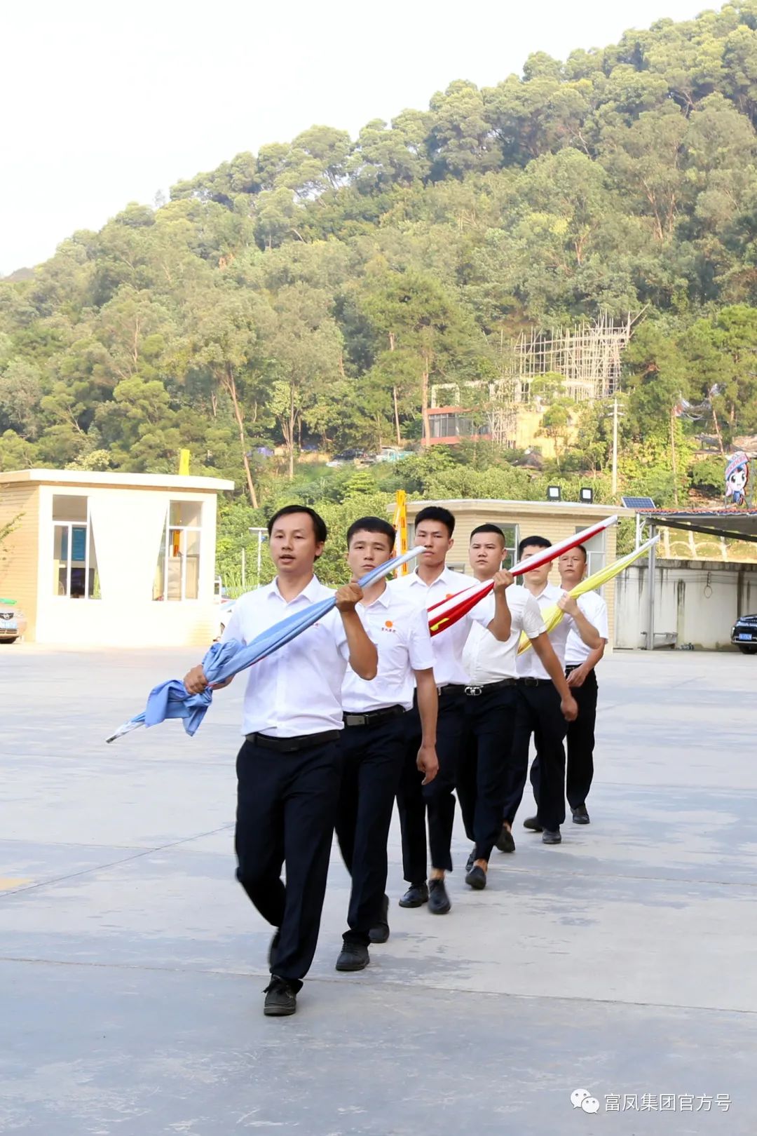 草莓视频下载链接集团