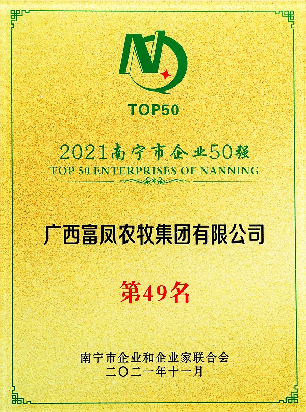 草莓视频下载链接集团