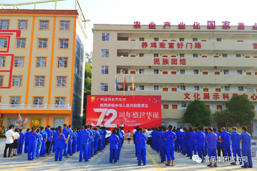 草莓视频下载链接集团