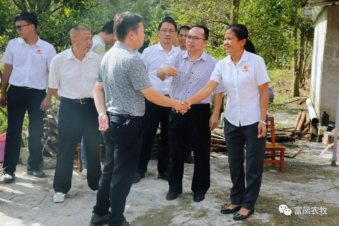 广西草莓视频下载链接农牧集团