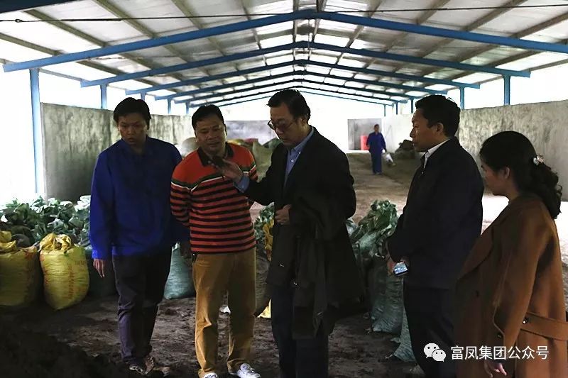 广西草莓视频下载链接农牧集团