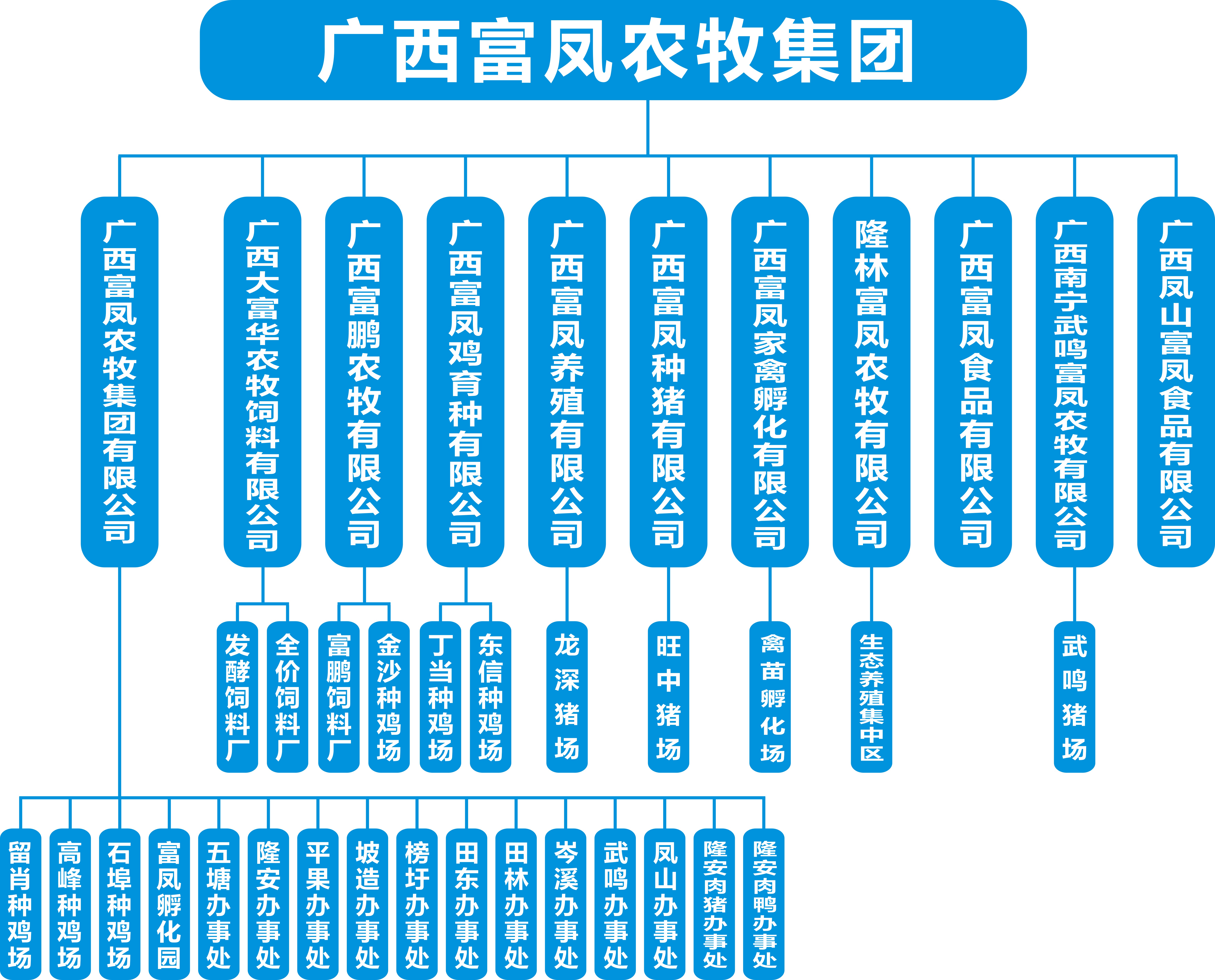 草莓视频下载链接