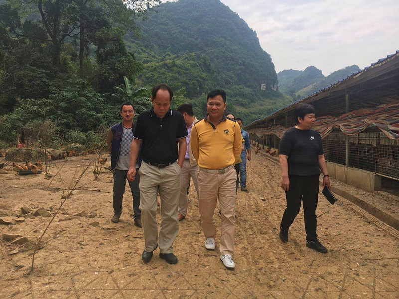 广西草莓视频下载链接农牧集团