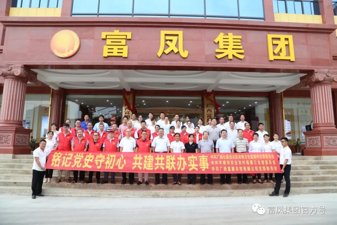 草莓视频下载链接集团