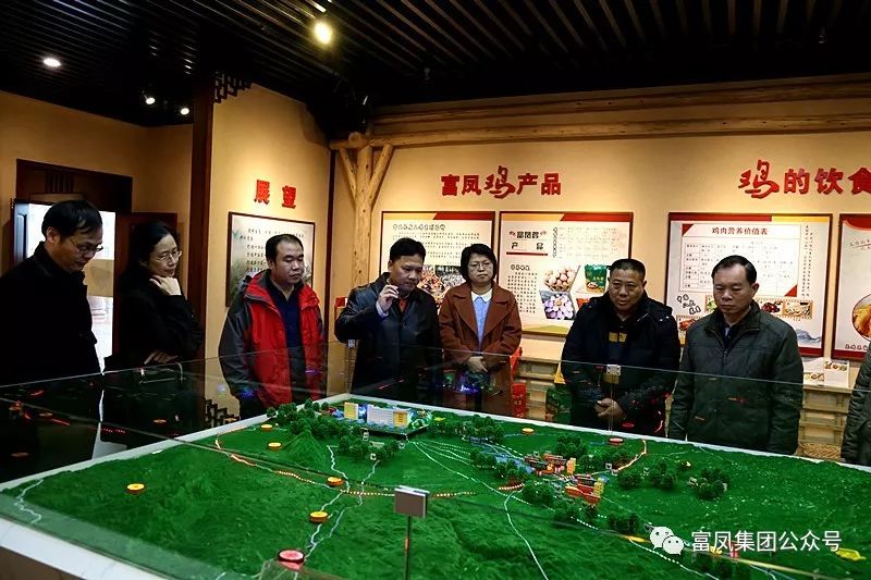 广西草莓视频下载链接农牧集团