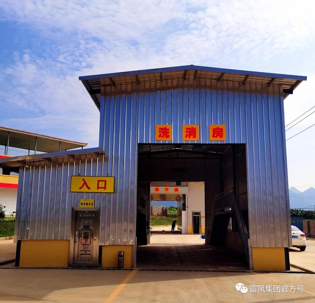 广西草莓视频下载链接集团
