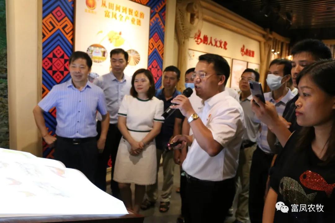 广西草莓视频下载链接农牧集团