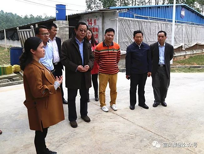 广西草莓视频下载链接农牧集团