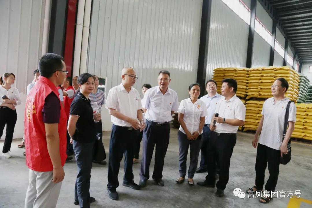 草莓视频下载链接集团