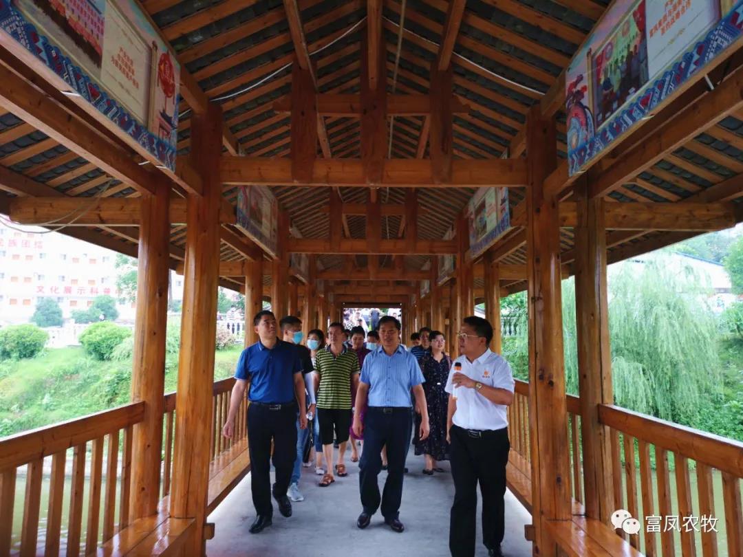 广西草莓视频下载链接农牧集团