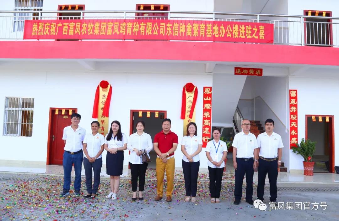 草莓视频下载链接集团