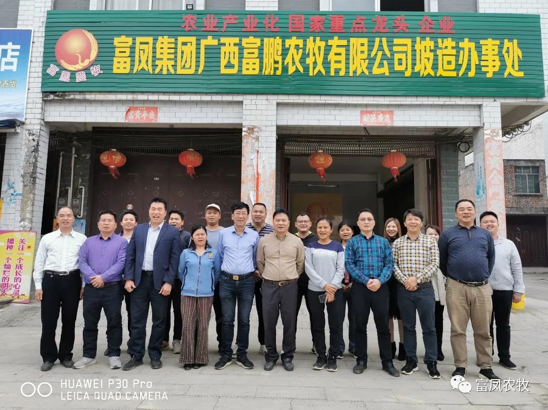 广西草莓视频下载链接农牧集团