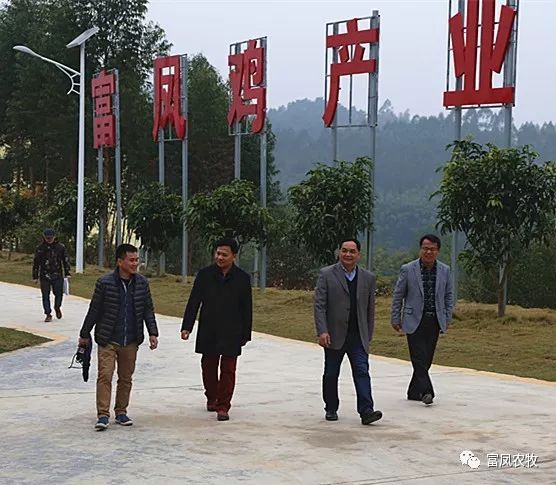广西草莓视频下载链接农牧集团