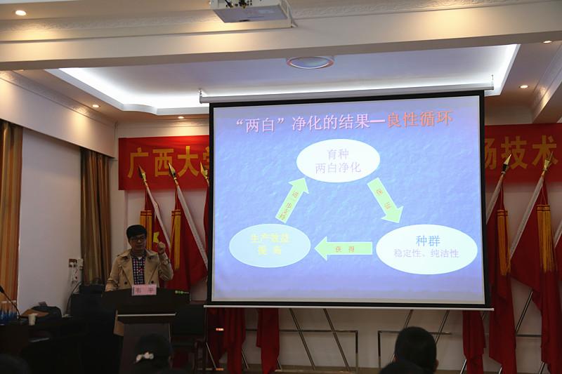 广西草莓视频下载链接农牧集团