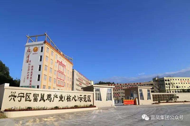 广西草莓视频下载链接农牧集团