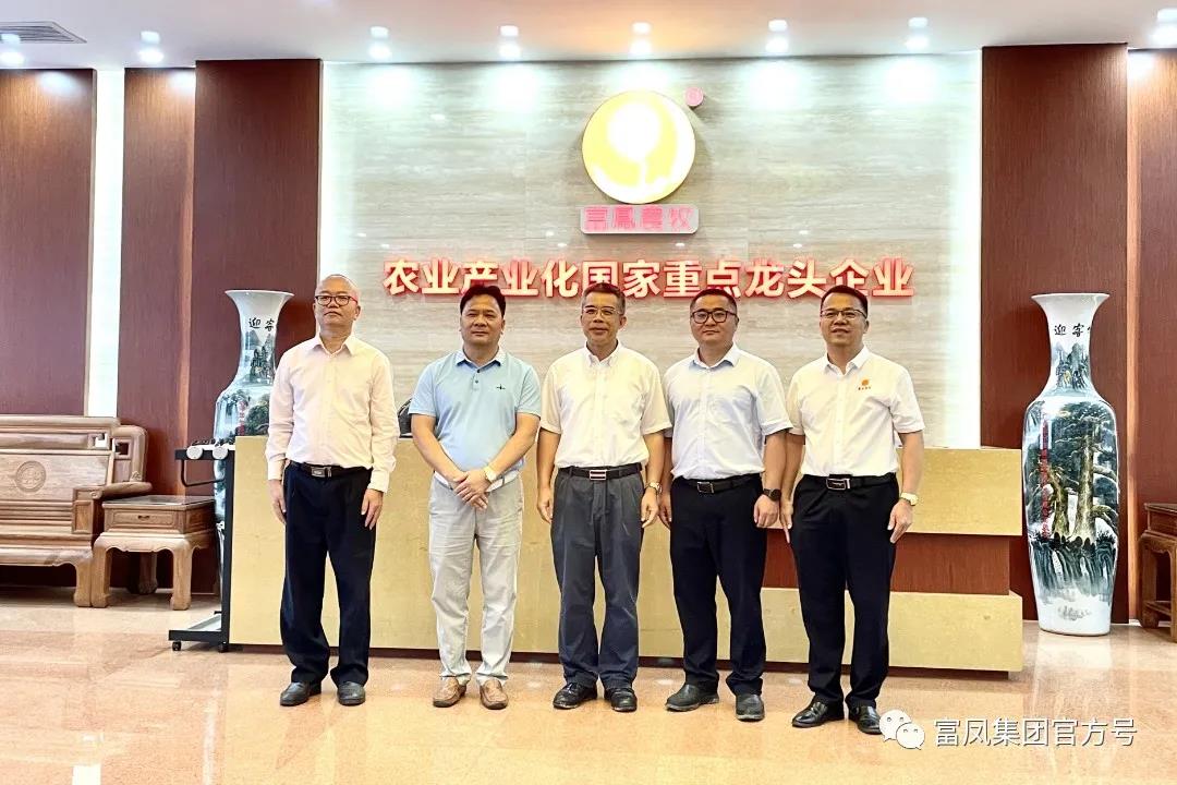 草莓视频下载链接集团